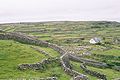 Inisheer Gardens 2002 dry-stone walls.jpg